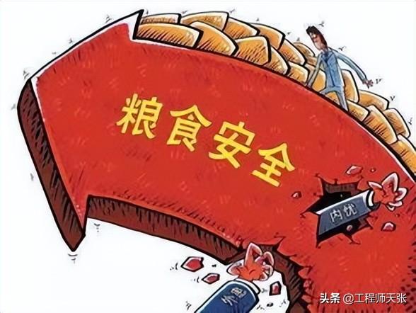 毁小麦青苗建光伏发电站，官方已调查清楚！但有件事不容忽视