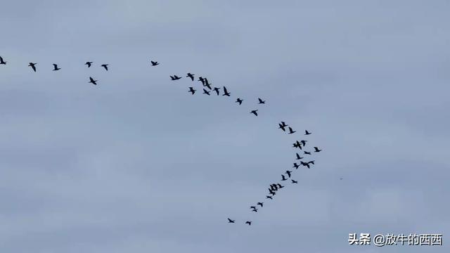 6999元原价购入“厂妹机”，使用近3个月，我后悔了吗？