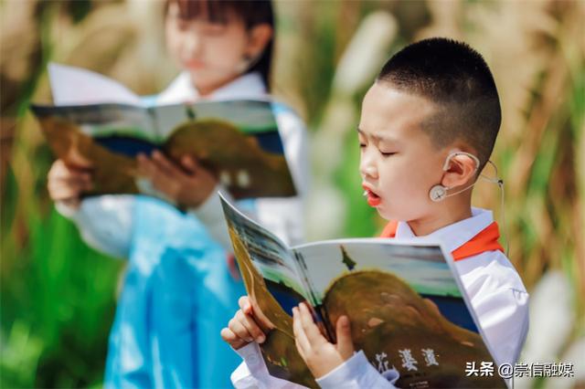 赏一片花海，读一本好书，这个“花园书房”太美妙了！