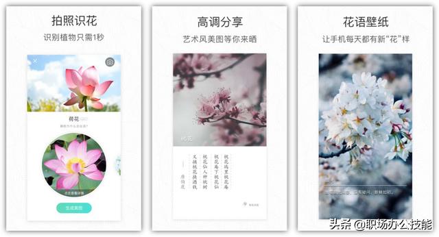 8个压箱底的宝藏App，实用又强大，手机秒变黑科技