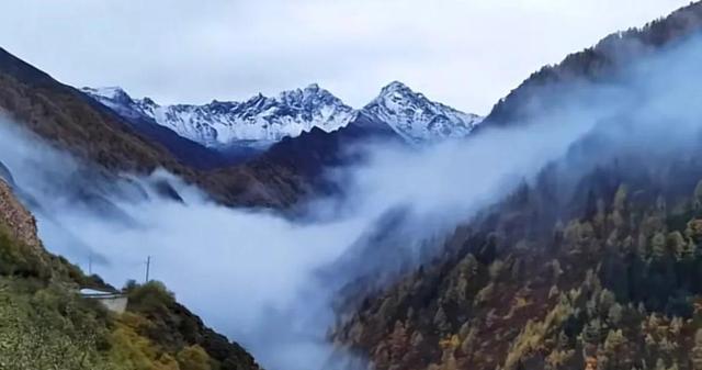 纵有仙山琼阁也难治愈身心
