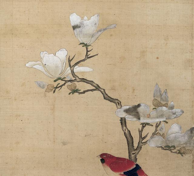 1月开什么花 1月开什么花（11月开什么花） 生活