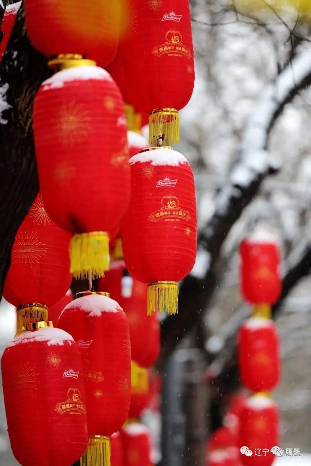 中雪能下多大(中雪是多大的雪图片)