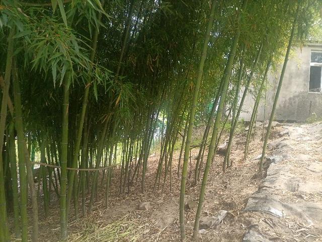 有一个地方，我永远不忘