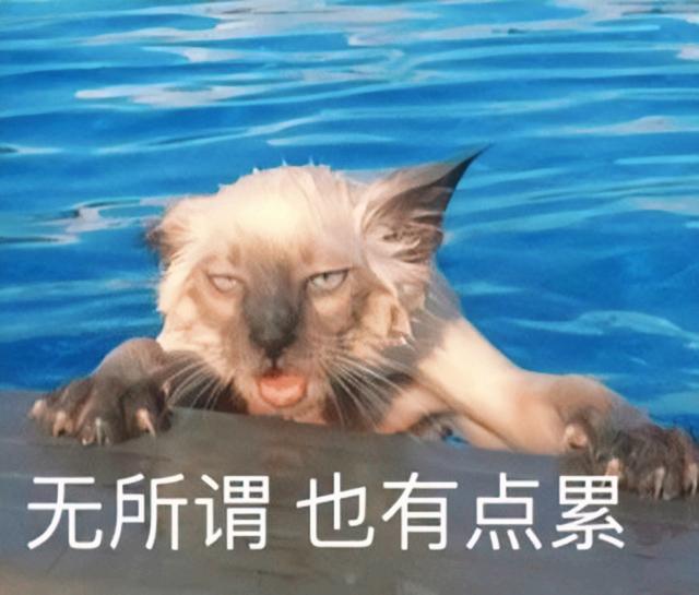 女生无奈是什么意思啊