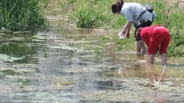 巴河穿越记