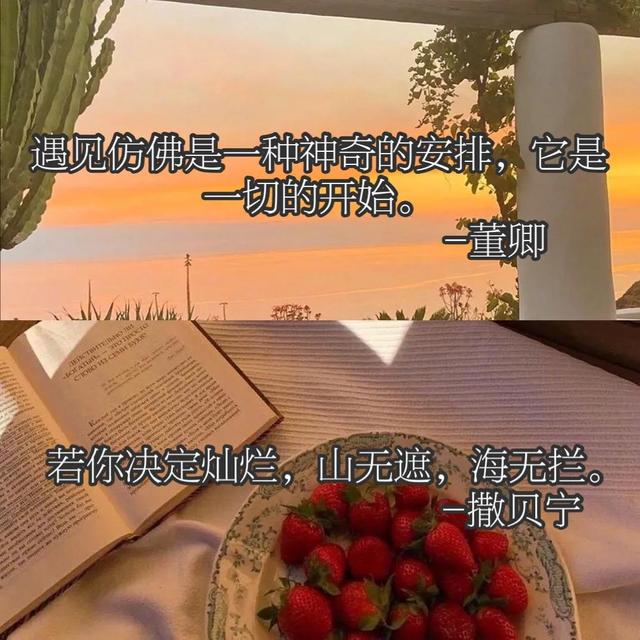 可以写进作文的“央视顶级文案”