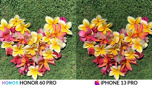 荣耀60Pro和iPhone13ProMax拍照对比：差距之大让人没有想到