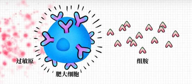 男子剧烈咳嗽一直治不好，医生却问，你是不是吃了高血压药？