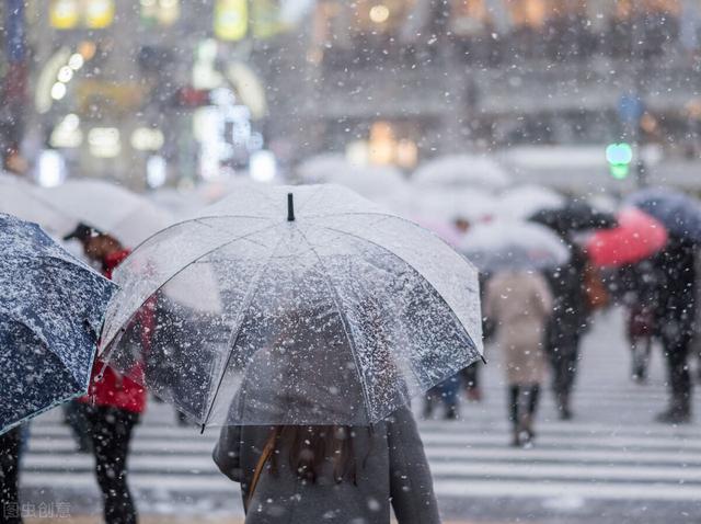 风雨何以惹得花落泪？