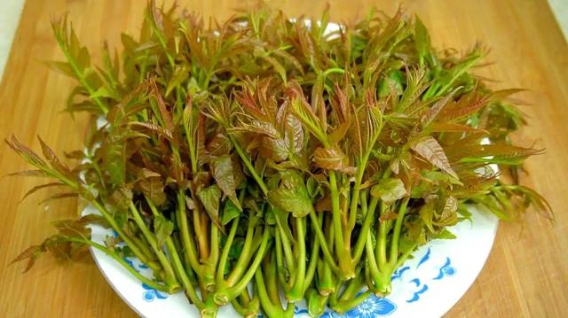 春分，不论贫富，记得吃“1白2黑3绿”！应季而食，健康过春天