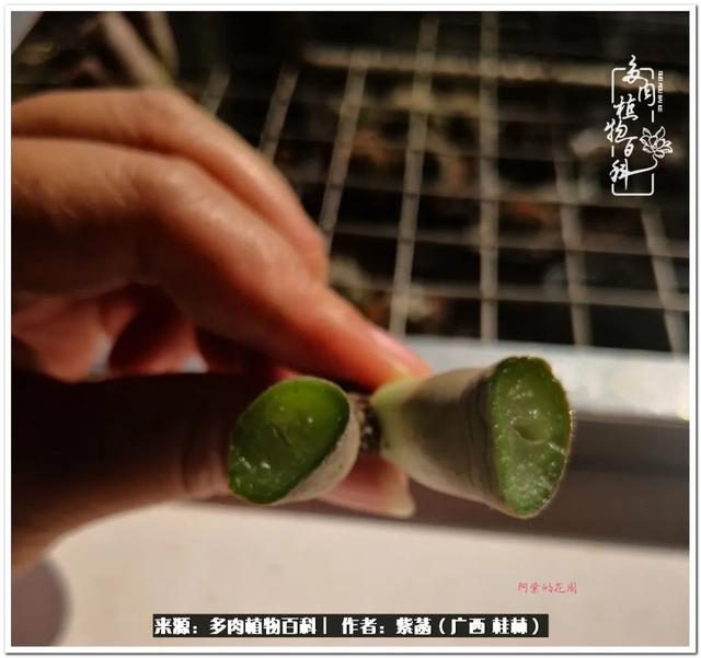 大型制砂机给力富贵机械
