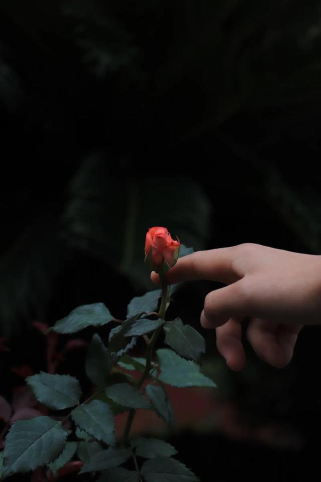 生活经验所感
