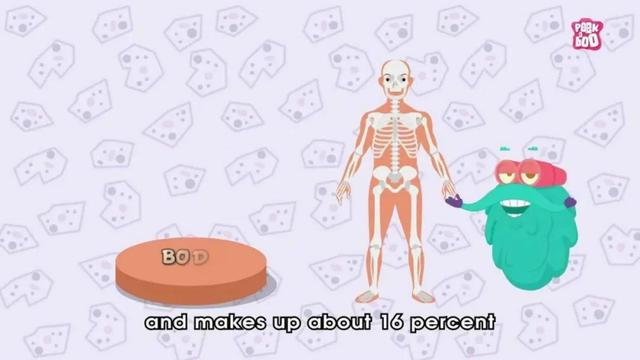 最适合孩子看的科普动画片