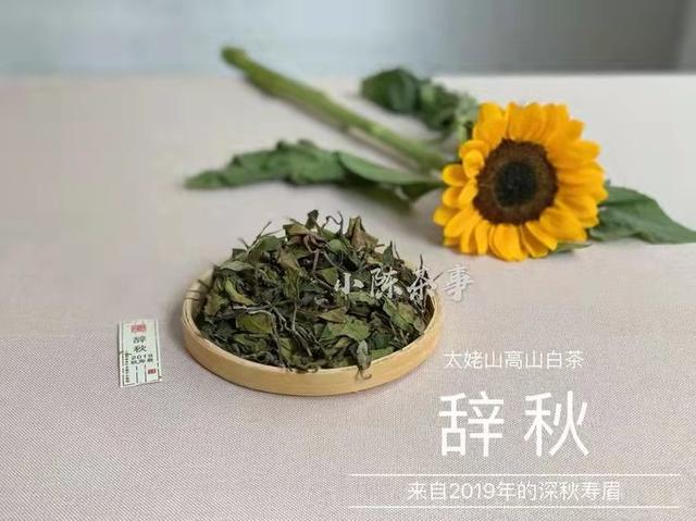 白茶晒一晒，防潮又提香？别傻了，再这么存白茶就废了