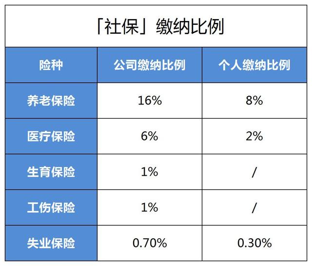 社保的五险一金是什么?「五险一金社保的区别」