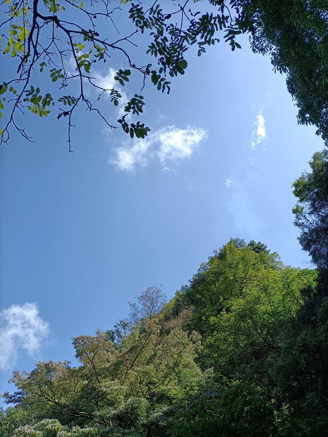 大同小型立轴制砂机定做