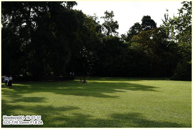 生活雜記：坡島散記08——流連忘返植物園