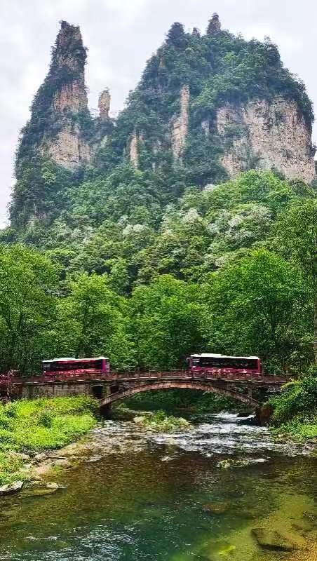 多景区客流量为今年新高！“五一”小长假，张家界旅游回暖