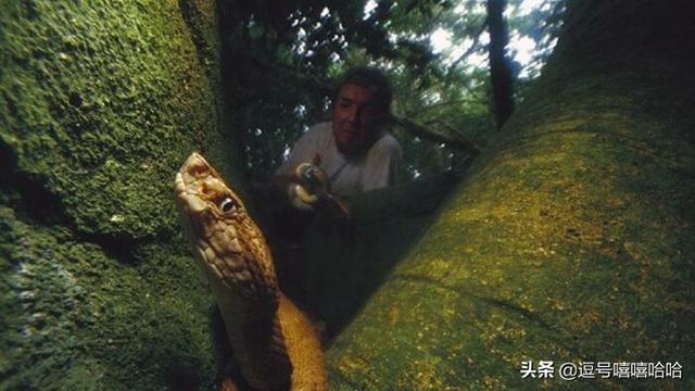 印度班加尔工程机械展