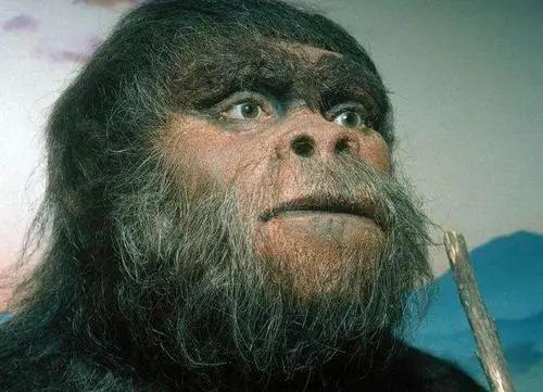 世界最早人类(世界最早人类遗址)-天晟网