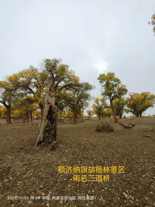 西行漫記之10月5日內蒙古篇