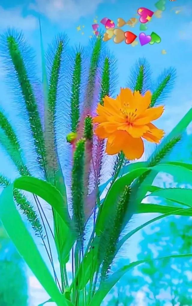 鲜花争艳，美景如画，令人心旷神怡