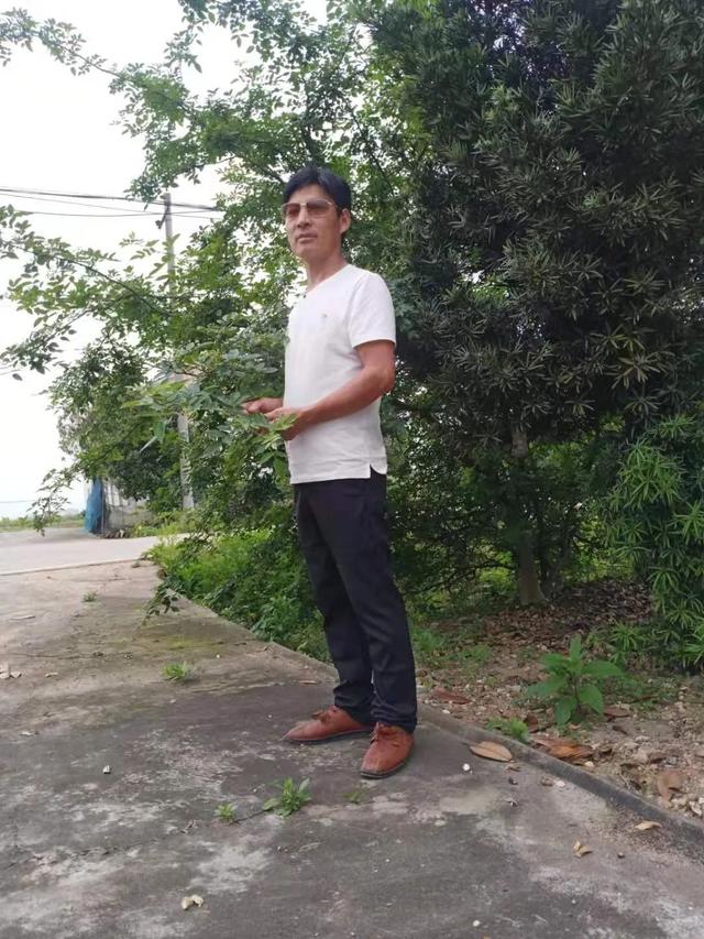 麦子诗歌九首