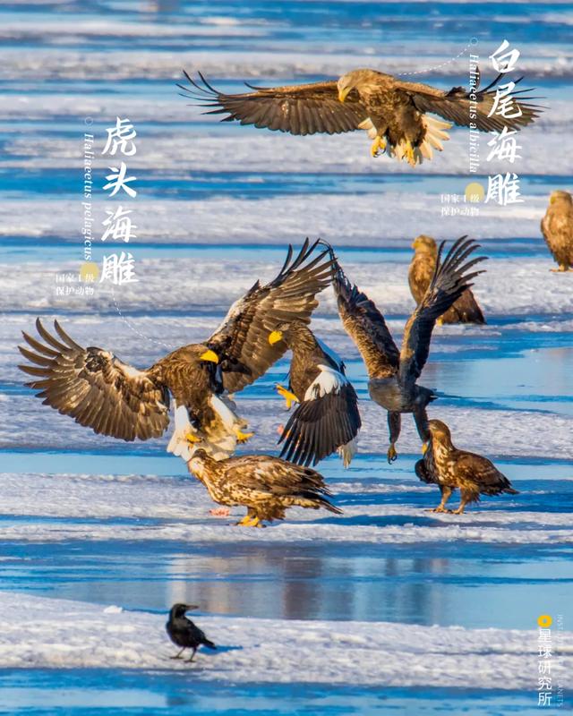 黄石洗砂机哪家便宜