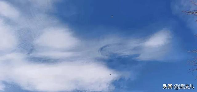 明日大雪：全年阴气最盛的时候，做好这2件事，保护阳气平安过冬