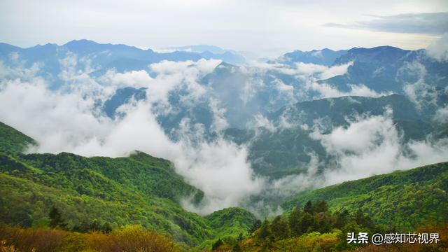 重磅布局加速跑！中国12地传感器产业掀热潮