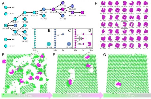 全球首个可繁殖活体机器人问世：AI参与设计，已自我繁殖4代