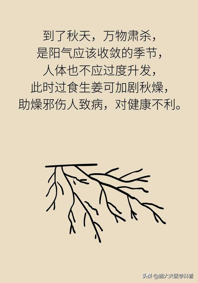 食用生姜最易犯的4个错