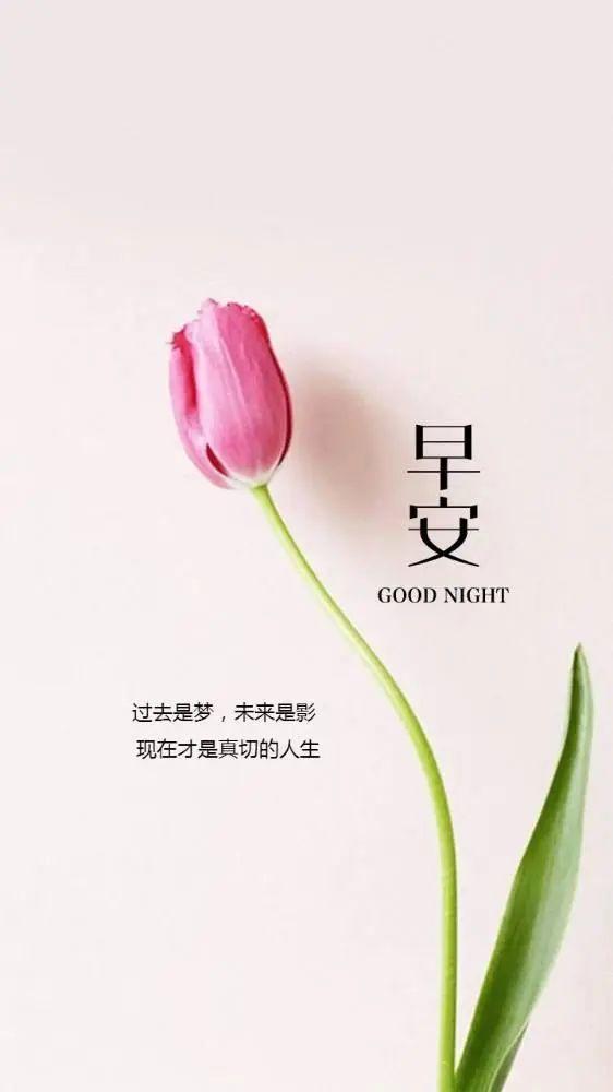 春天励志正能量的句子努力奋斗的早安心语正能量满满