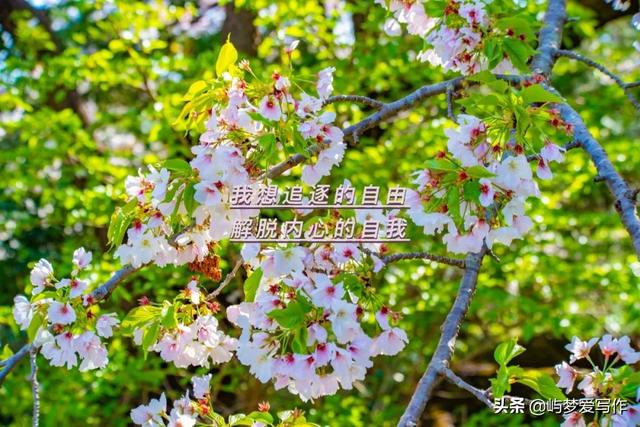 原创散文｜不一样的四月，或许会有不一样的改变