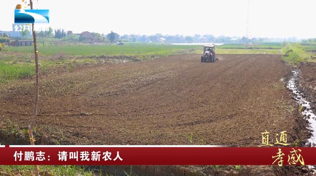 付鹏志：请叫我新农人