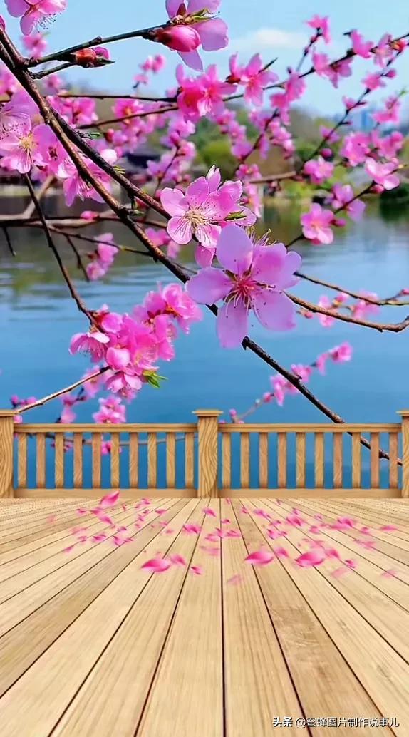 阳春三月，万花丛中娇美溢，千朵万朵压枝低