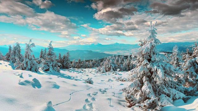 冬至前，多给家人吃它，补钙补锌，增强免疫力，顺应时节少生病