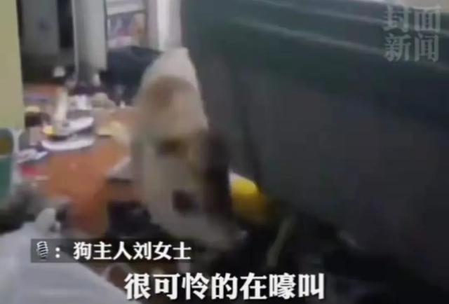 七言｜“一见你就笑”