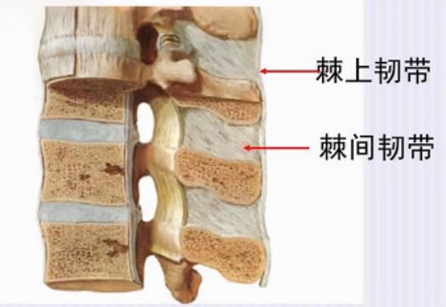 伤腰怎么办