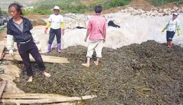 因一包酸菜，导致康师傅、统一流失数亿市值，严钦武到底什么来头