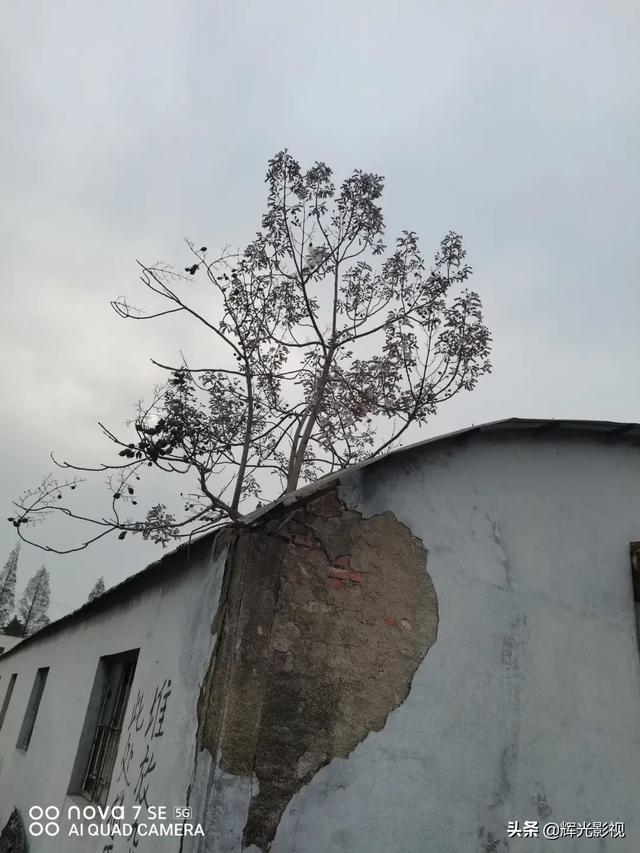 陈修光｜半程坎坷半程修行，感恩生活中的每一个感动