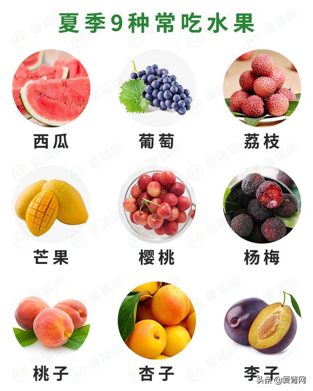肾友如何正确选择水果, 来看推荐