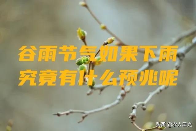 天气预报：今天(20日)谷雨，如果天下雨，会有什么预兆？农谚咋说