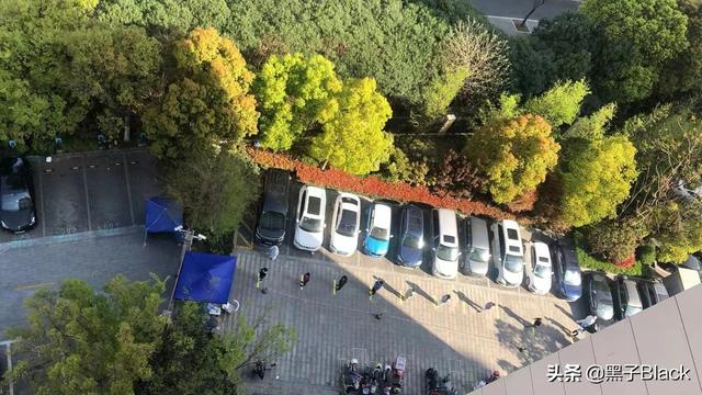 上海疫情终于要结束了，全面解封恢复正常生活的时间表出来了