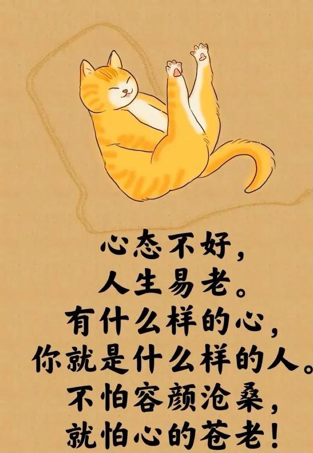 所谓的人生就是⋯