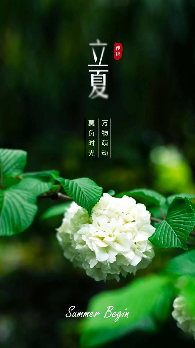 立夏图片配图高清唯美带字大全，立夏祝福语朋友圈文案句子短语