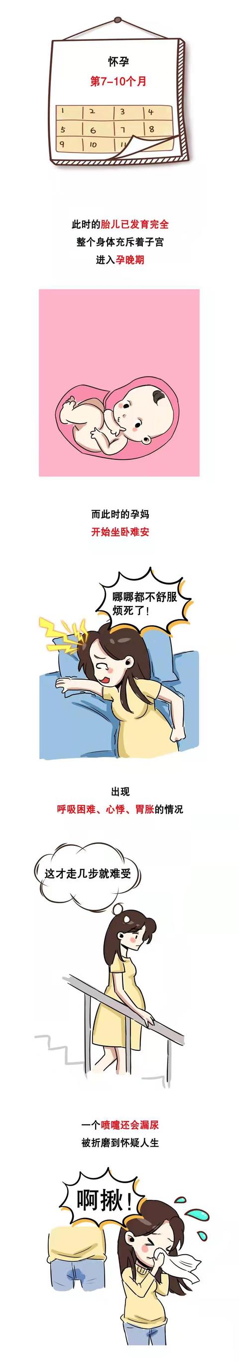 女性怀胎10月身体变化过程揭秘！宝宝和妈妈都一起经历了什么？