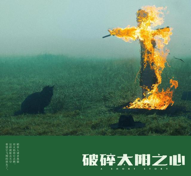 戛纳短片名单公布，毕赣新片入围戛纳，姚安娜主演短片也入围了