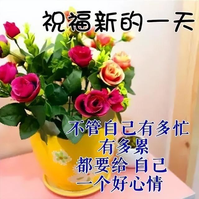 忙碌的一天的唯美句子早安朋友愿你今天好心情生活工作都舒心